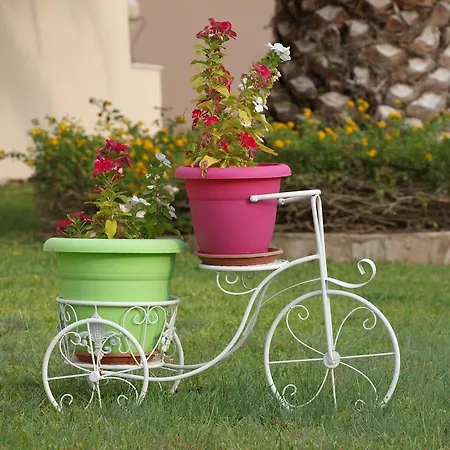 Διαμέρισμα Aristotelis *