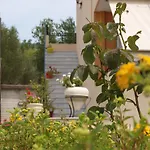 דירה Aristotelis *
