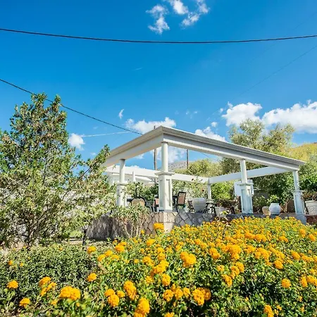 Aristotelis Apartmán Razáta