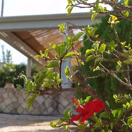 Aristotelis Apartman