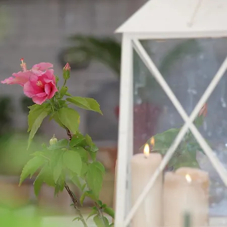 Apartman Aristotelis *